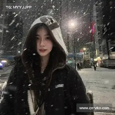 凤鲁庄